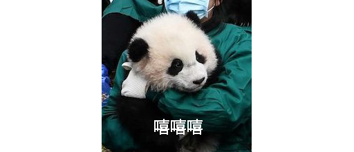 奥运会吉祥物分别是哪些动物（北京冬奥会｜不只冰墩墩，这些吉祥物的原型也是大熊猫）