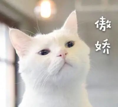 什么是肉雞,
