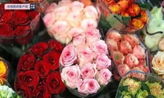 玫瑰价格暴涨！今年买花，“花”得有点多→