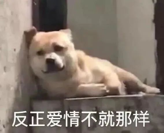 情人节送什么礼物最浪漫（情人节特别的礼物）