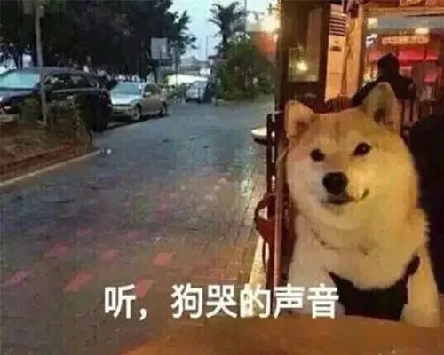 不是吧不是吧，好好的礼物怎么就成了毒品……