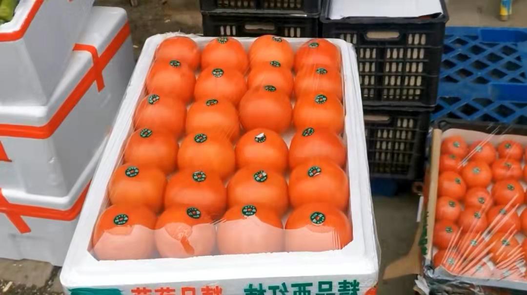 “价”长里短｜黄瓜、西红柿价格一路走低 节后首周全省11种蔬菜均价下降11.29%