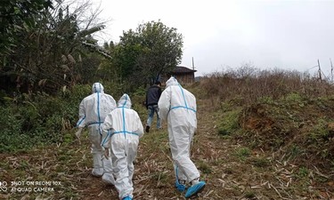 “冰墩墩”“雪容融”来袭，广西这六座加油站可以买到