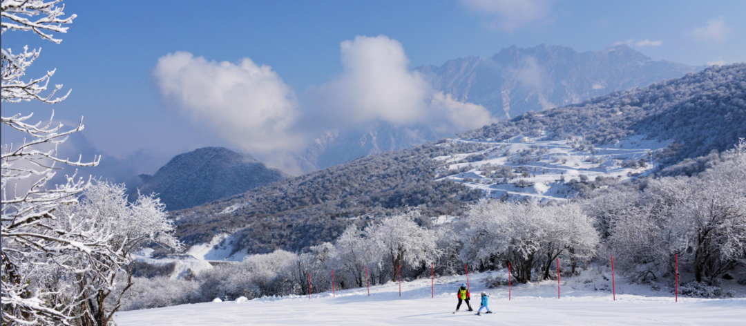 中国滑雪场在哪(中国南方落差最大、雪道最长 四川茂县太子岭滑雪场满足你的“冰雪瘾”)