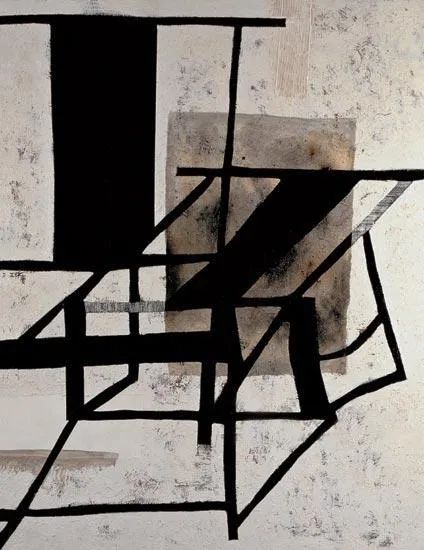 王怀庆 | 黑与白的交织