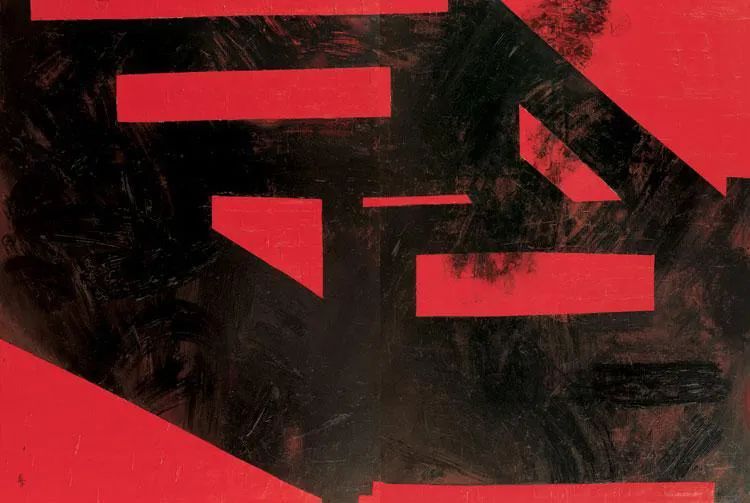 王怀庆 | 黑与白的交织