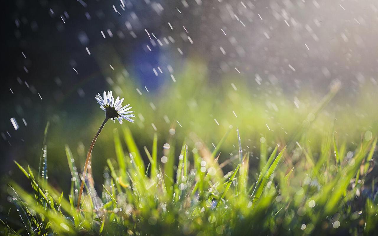 二十四节气雨水：冬奥会开幕式倒计时的第一个节气，有怎样的文化内涵