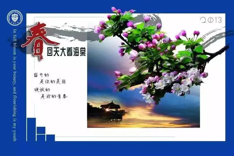 岁和景新，天大的海棠在等你 ——海棠季明信片与文创作品征集