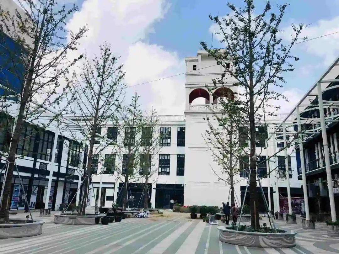 就是这么自信！普陀这块“福地”太有料！文末还有虎年精美礼品哦→