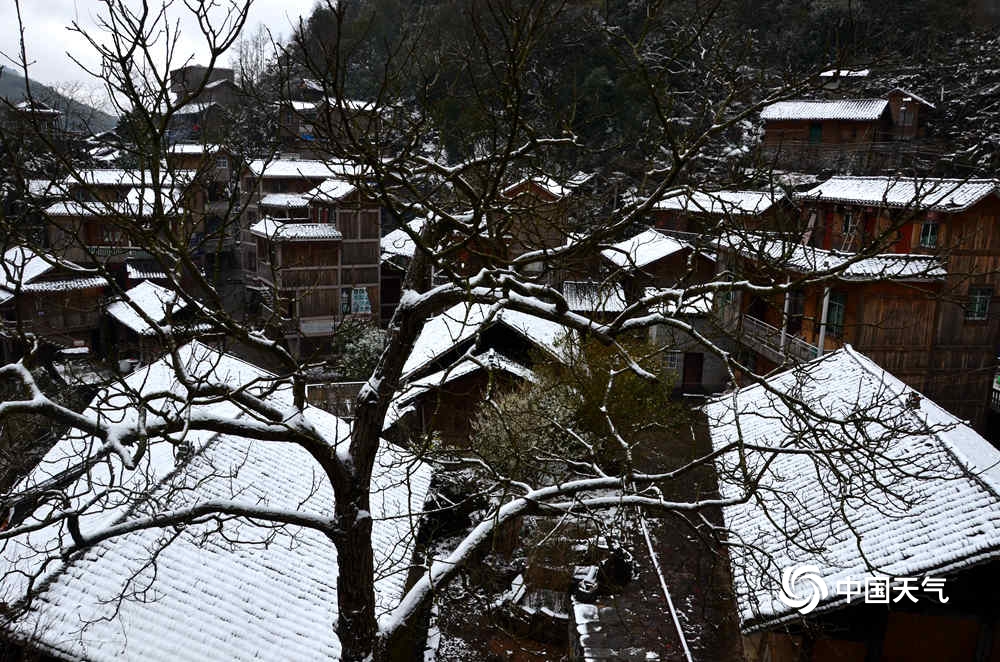 银装素裹！百色隆林乡村下雪了 银装,银装素裹,素裹,百色,隆林