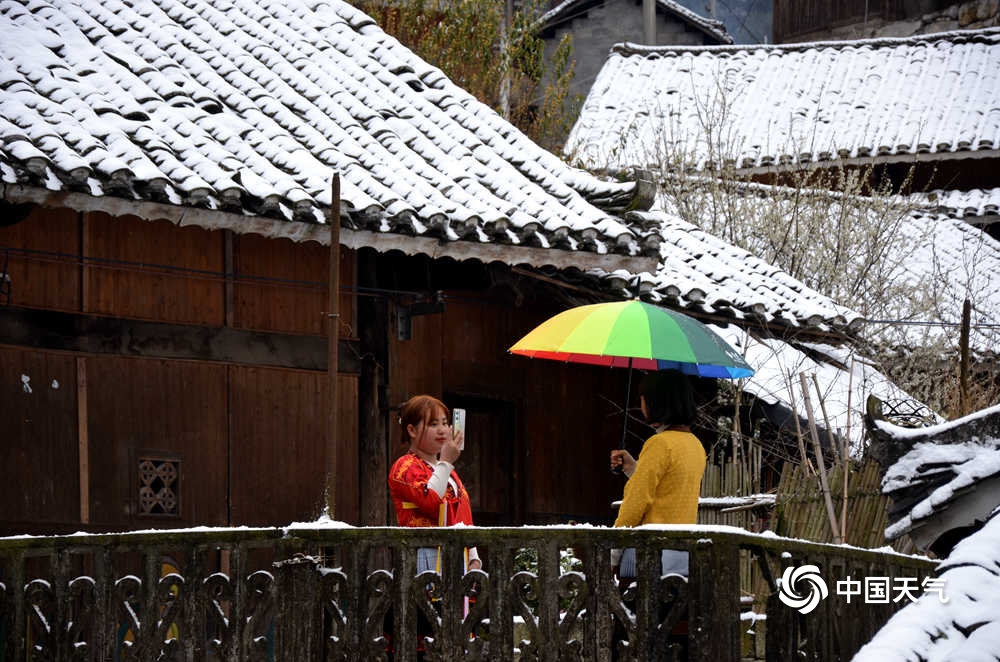 银装素裹！百色隆林乡村下雪了 银装,银装素裹,素裹,百色,隆林