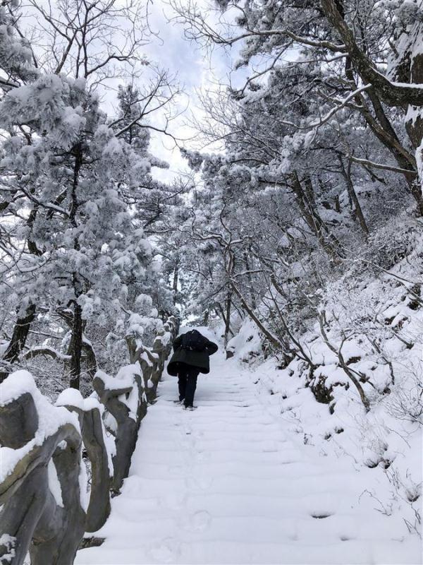 冬奥会带火罗田冰雪旅游，景区推出优惠活动