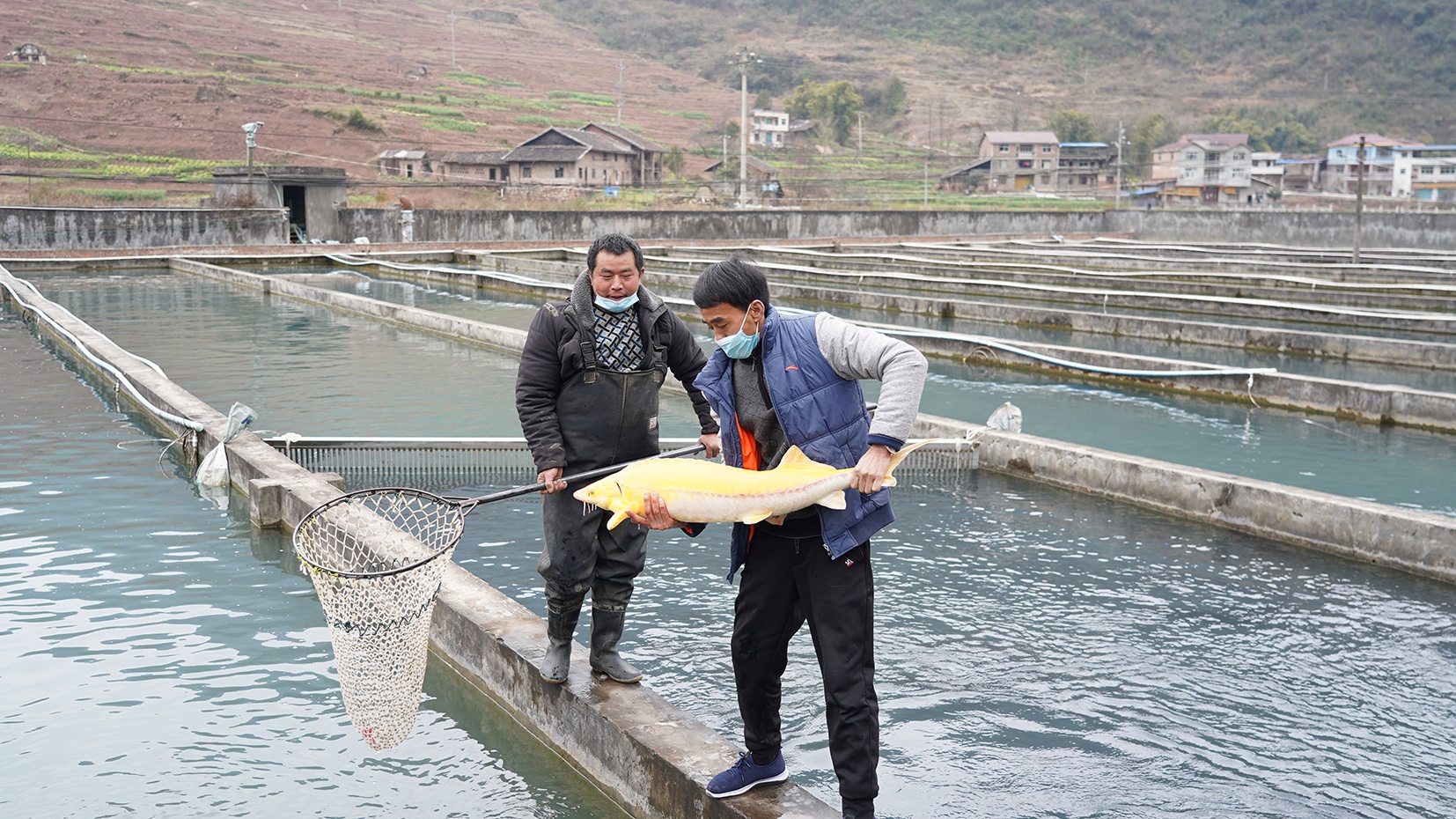 重庆鲜活水产品首次“游”出国门