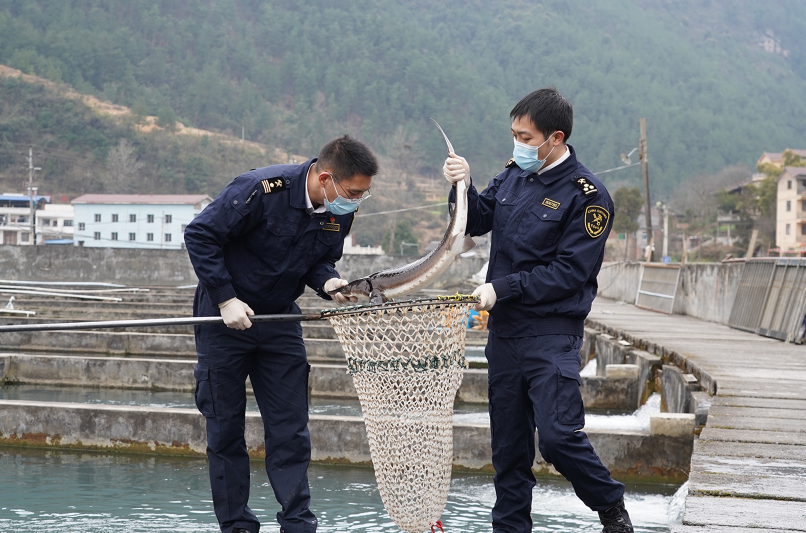 重慶鮮活水產(chǎn)品首次“游”出國門