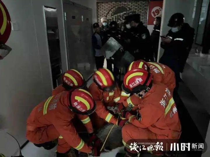 ����һͷҰ������&ldquo;��&rdquo;�����ޣ���Ұ����ܣ������ˣ�