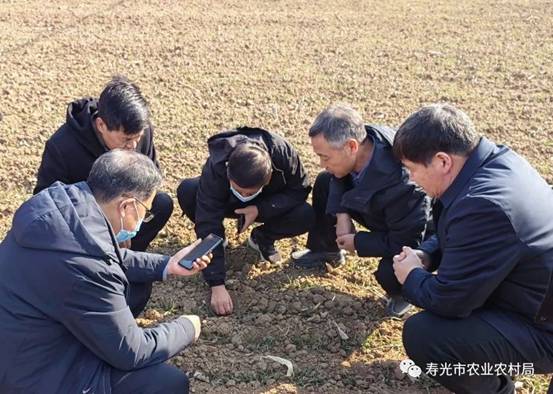 保衛(wèi)夏糧豐收 壽光備耕正忙