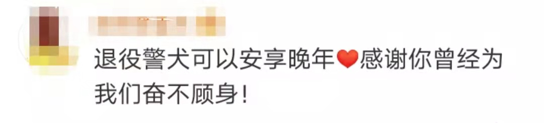 要当网红18年就退役了(“网红”警犬退役，网友最关心一个问题，民警回应了)