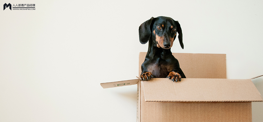 猫咪app注册昵称要求（宠物APP竞品分析）