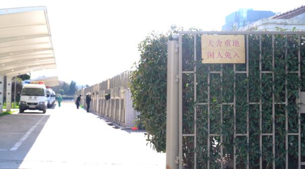 网红警犬“生米”退役了，带它10年的训导员说：“养你一辈子”