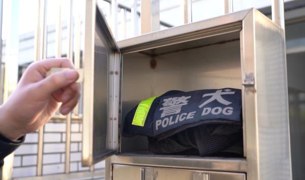 网红警犬“生米”退役了，带它10年的训导员说：“养你一辈子”
