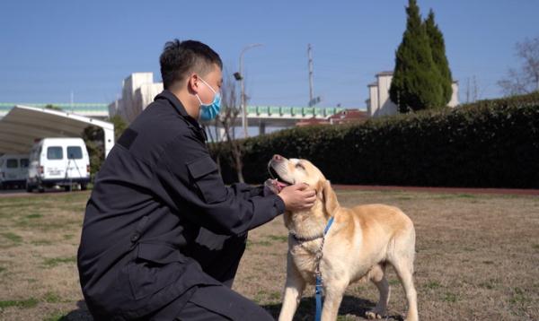 网红警犬“生米”退役了，带它10年的训导员说：“养你一辈子”
