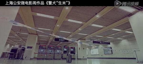 网红警犬“生米”退役了，带它10年的训导员说：“养你一辈子”