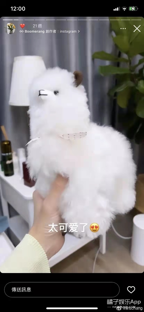 幸福会传染！《半熟恋人》比追剧还爽，王能能罗拉结局HE