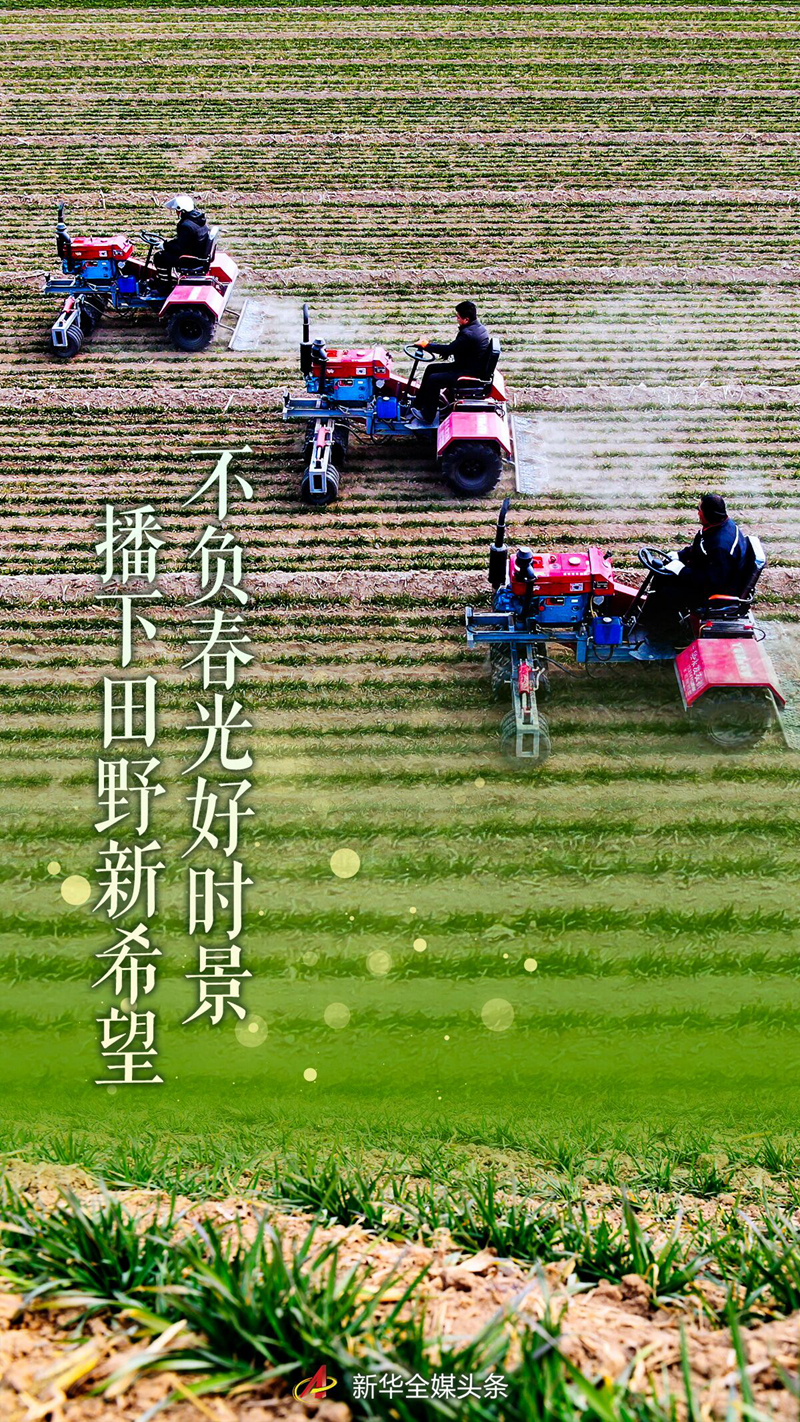 不負(fù)春光好時(shí)景 播下田野新希望——虎年春耕新圖景