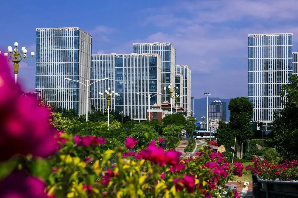 大厦之门，诚纳栋梁！厦门市校友经济工作座谈会召开