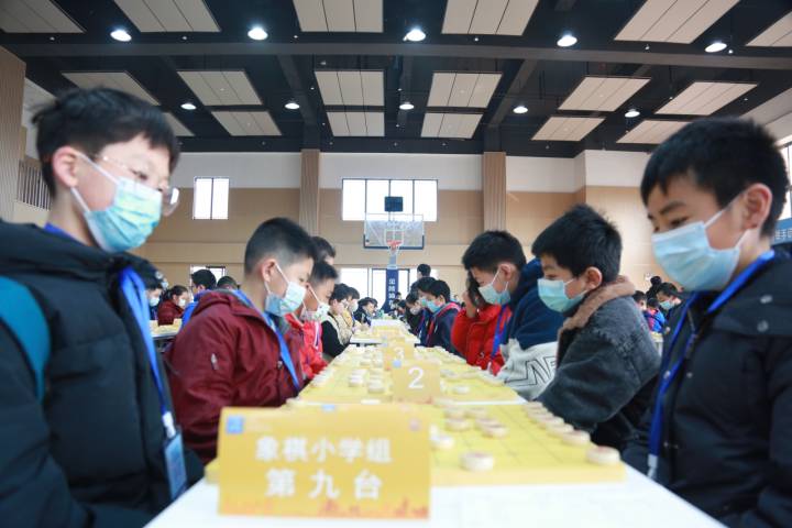 杭州幸福河小学承办市级校际联赛象棋项目(图2)