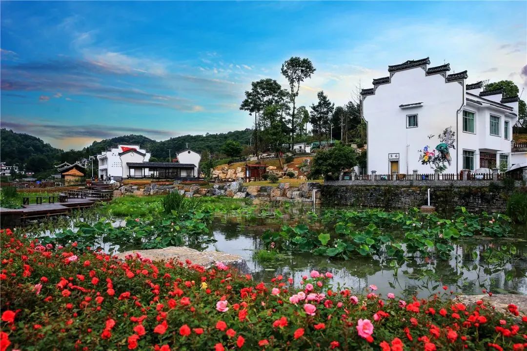 万山区青年湖村丨在这个水墨田园临窗观景枕风而眠