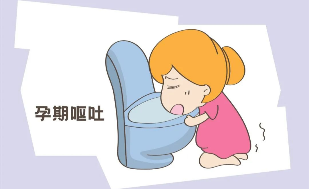 怀孕后频繁呕吐,甚至体重下降?妊娠剧吐影响到底有多大