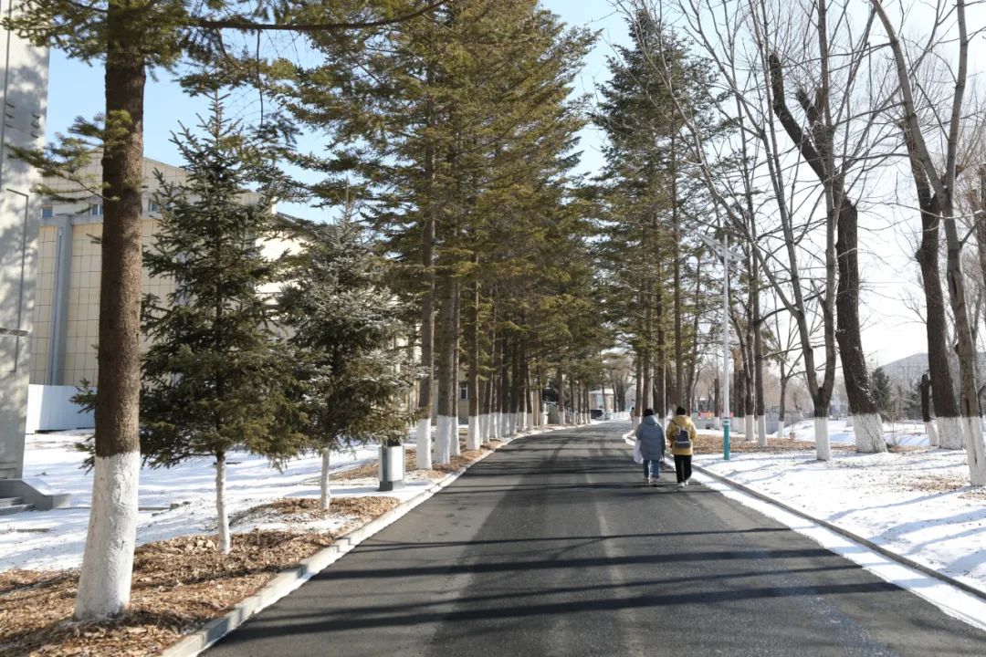 吉林新地标丨蓝湖、行政楼、鲲鹏路……《人世间》中出现了多少吉林农业大学的美景？