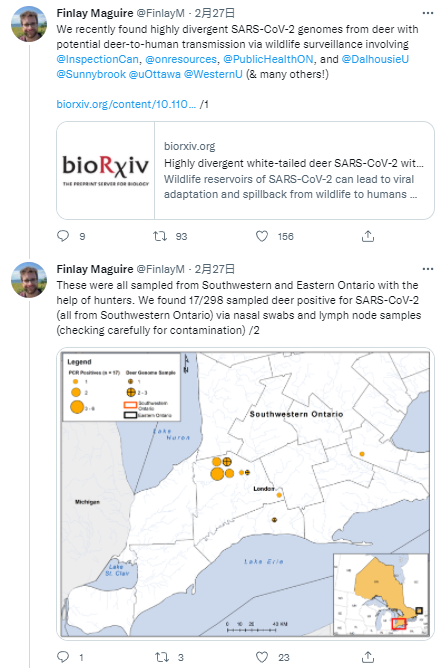 加拿大研究人员发现鹿将新冠病毒传染给人类的可能案例-第2张图片-IT新视野