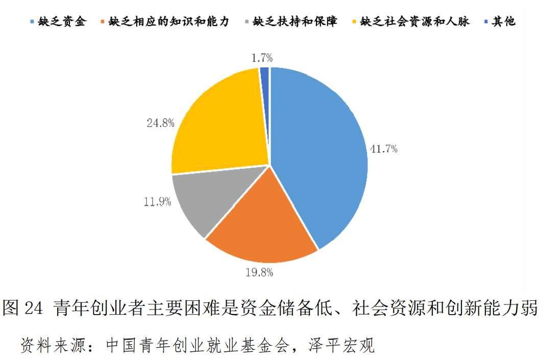 中国青年创业基金,中国青年创业基金会