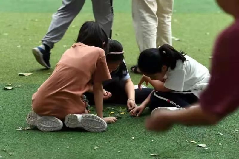 沈阳教育培训机构招聘（快来报名）