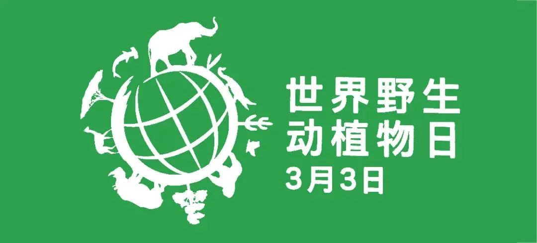世界法律日,世界法律日是几月几日