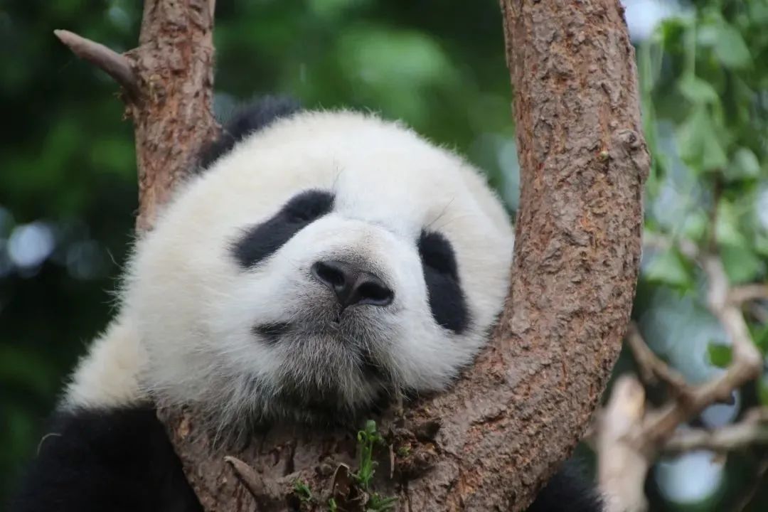 世界法律日,世界法律日是几月几日