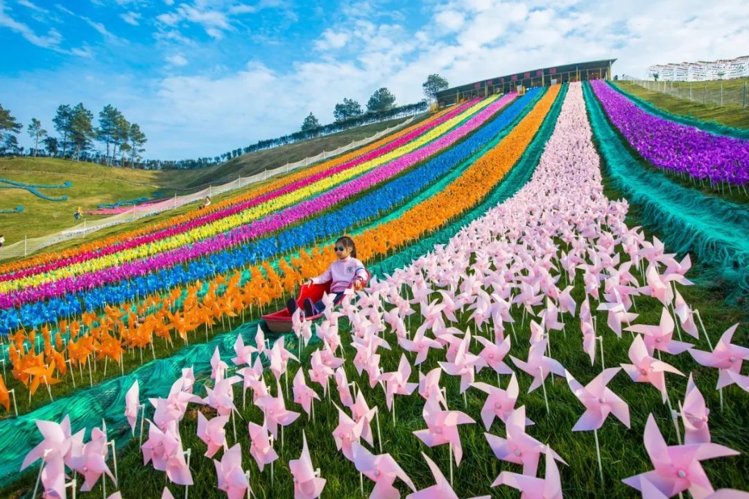 世界杯球员膝盖滑草(亲子出游季·北川飞鸿滑草场 ‖ “咻”的一下，我们一起“滑”丽出场！)