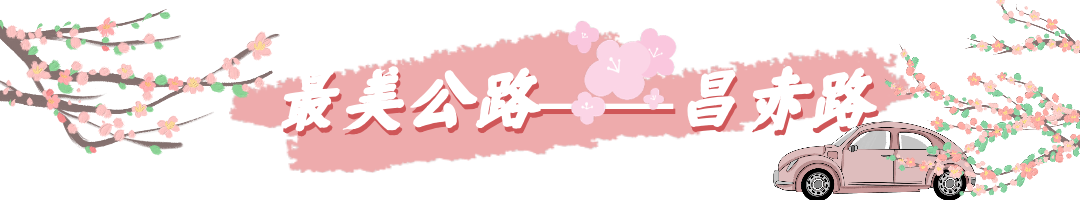 昌赤路赏花最佳日期（北京延庆的赏花指南）