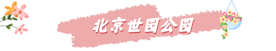 昌赤路赏花最佳日期（北京延庆的赏花指南）