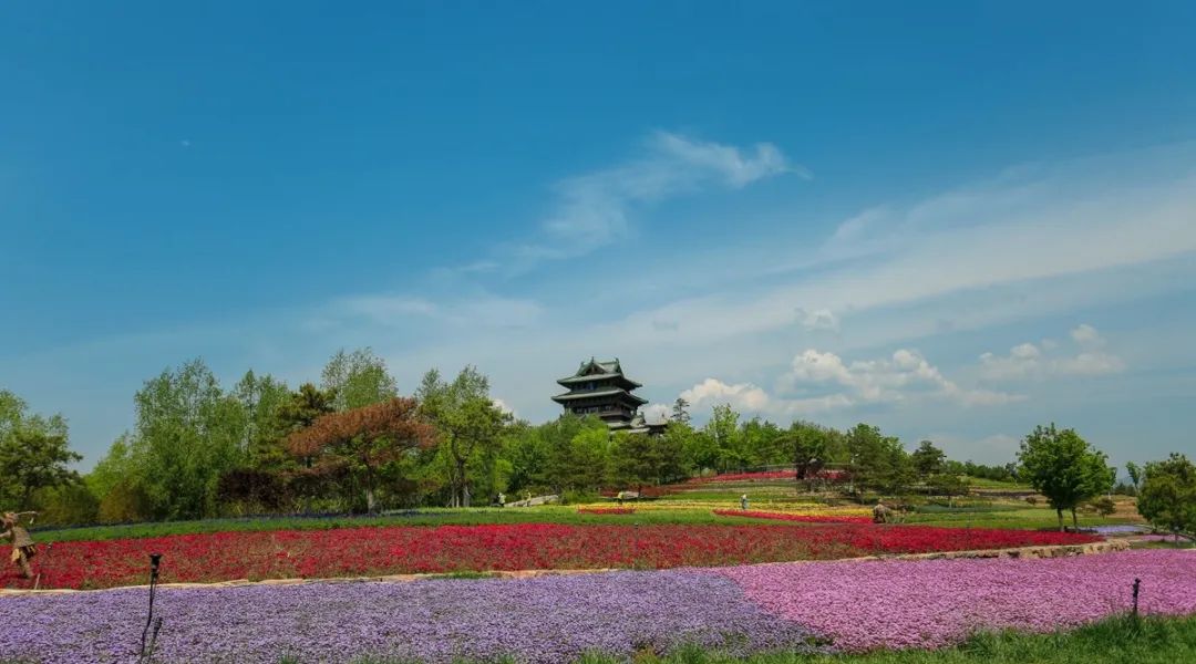 昌赤路赏花最佳日期（北京延庆的赏花指南）