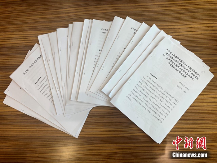 全国人大代表肖胜方：推动增设轻罪前科消灭制度