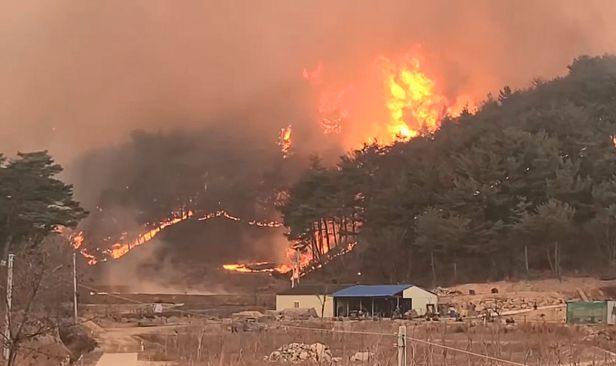 现场曝光：韩国核电站附近燃起山火 近4000居民被紧急疏散