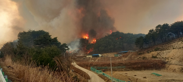 现场曝光：韩国核电站附近燃起山火 近4000居民被紧急疏散