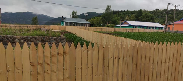 和龙市龙城镇推进环境整治描绘美丽宜居“新画卷”