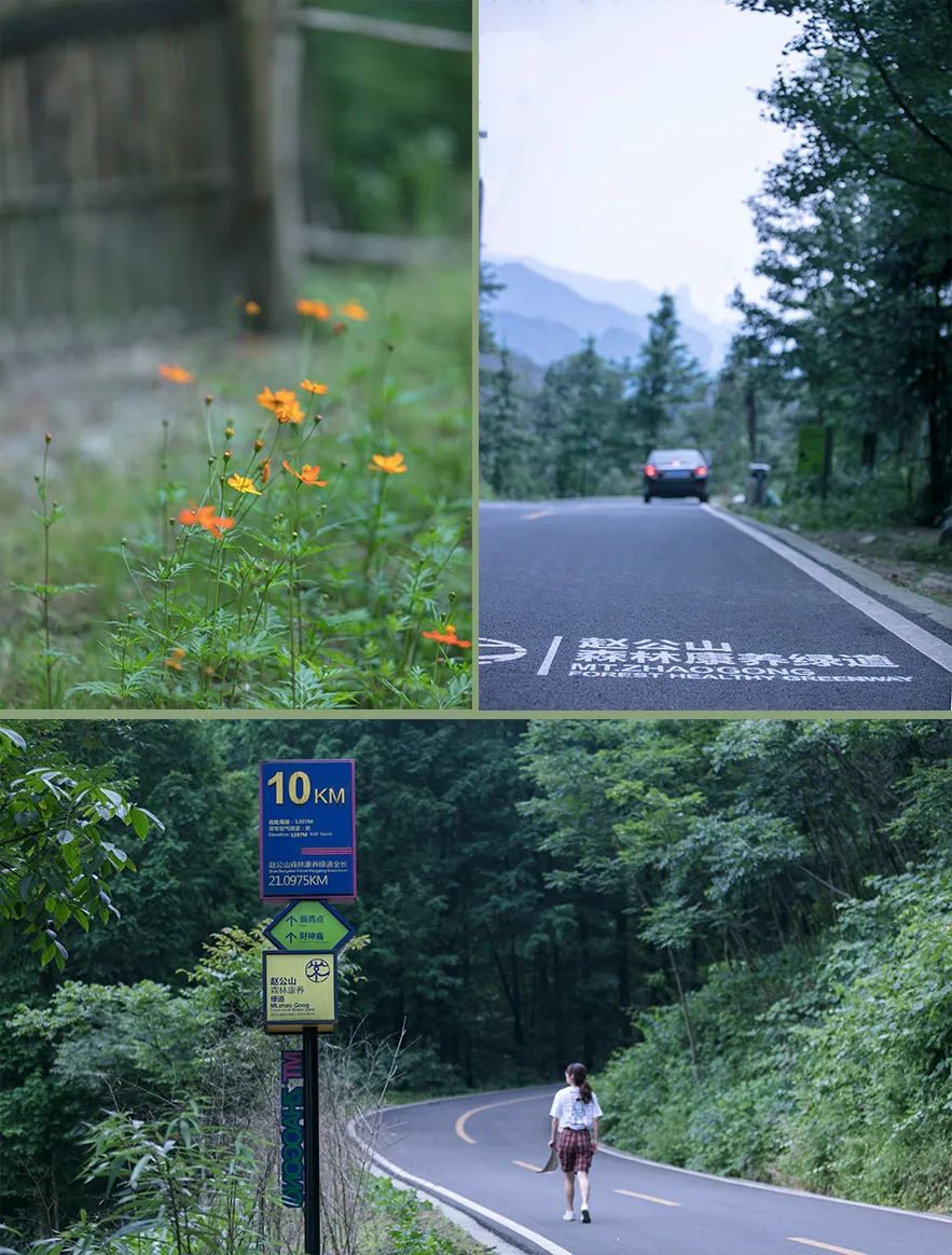 成都青城山旅游攻略一日游（四种人不能去青城山）-第28张图片-科灵网