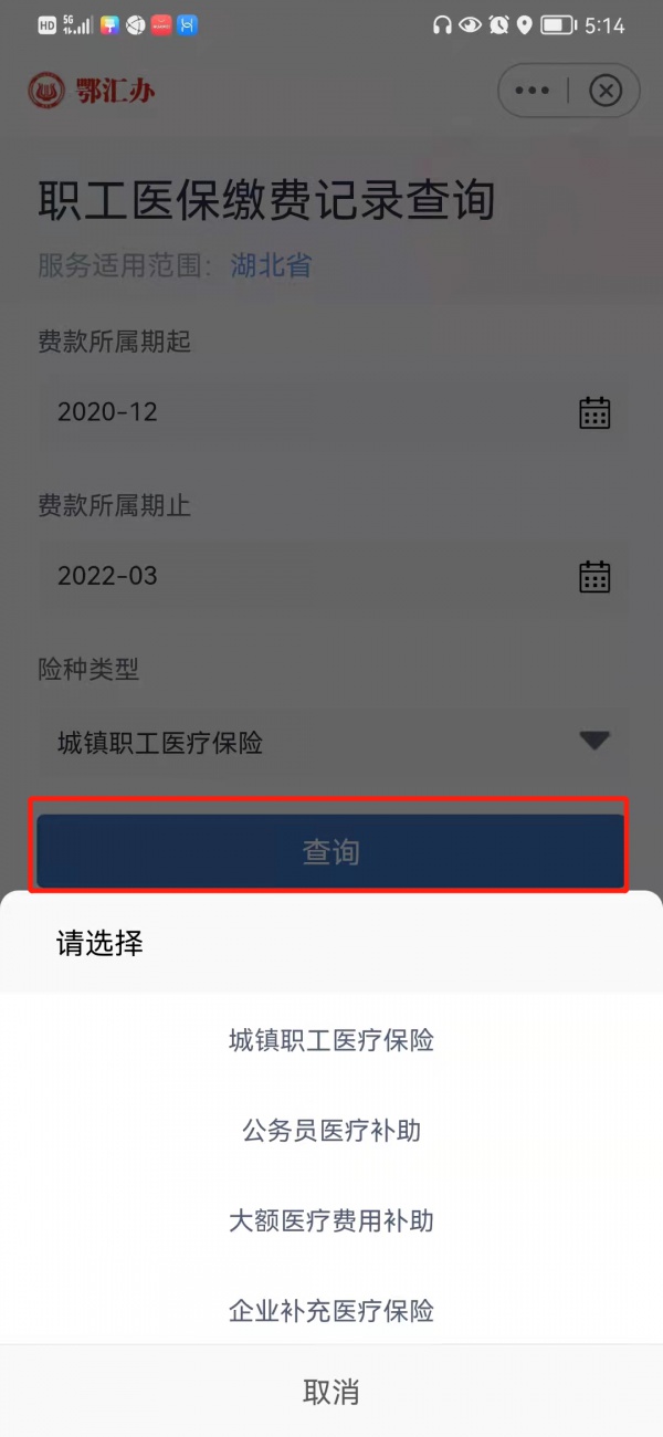 个人医保查询,个人医保查询app官方网站