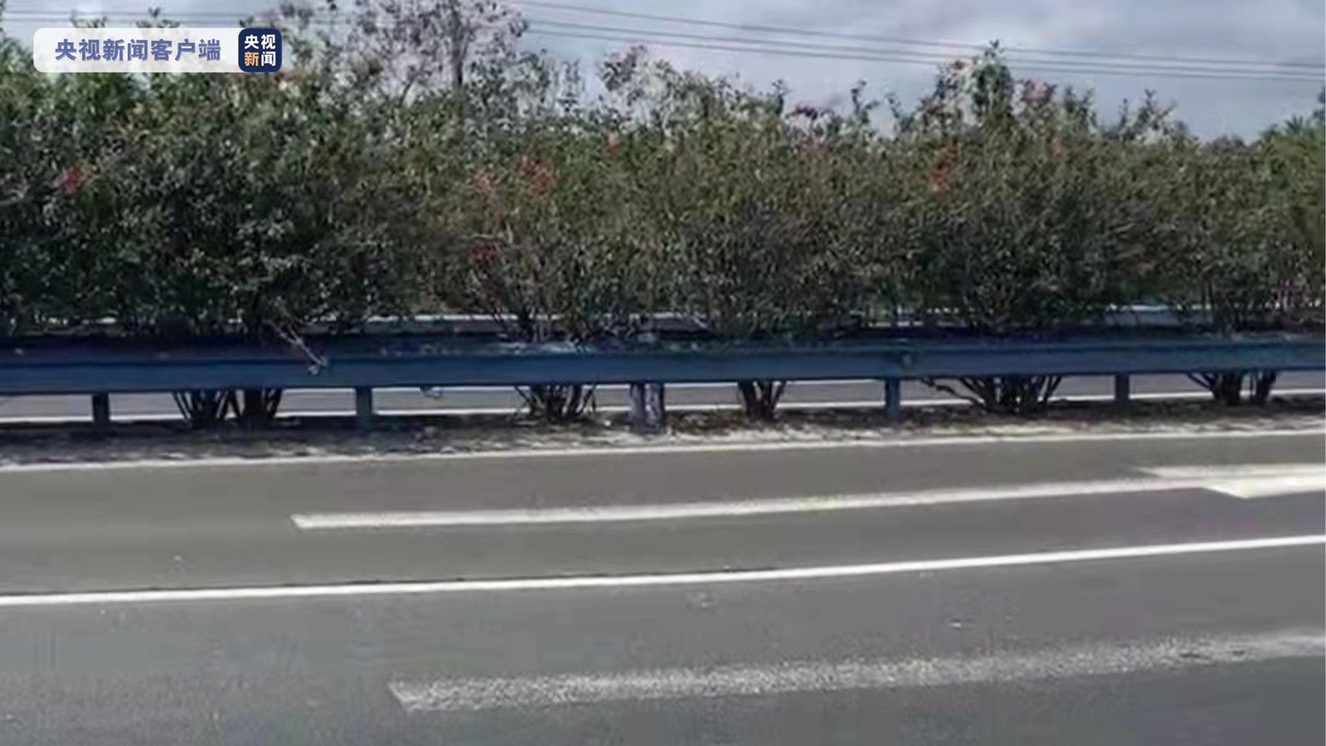 桥梁倒塌,桥梁倒塌事件