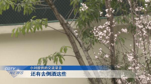 热搜第一！女子拒绝下班后应酬被辞退，公司：行政工作就要搞好接待